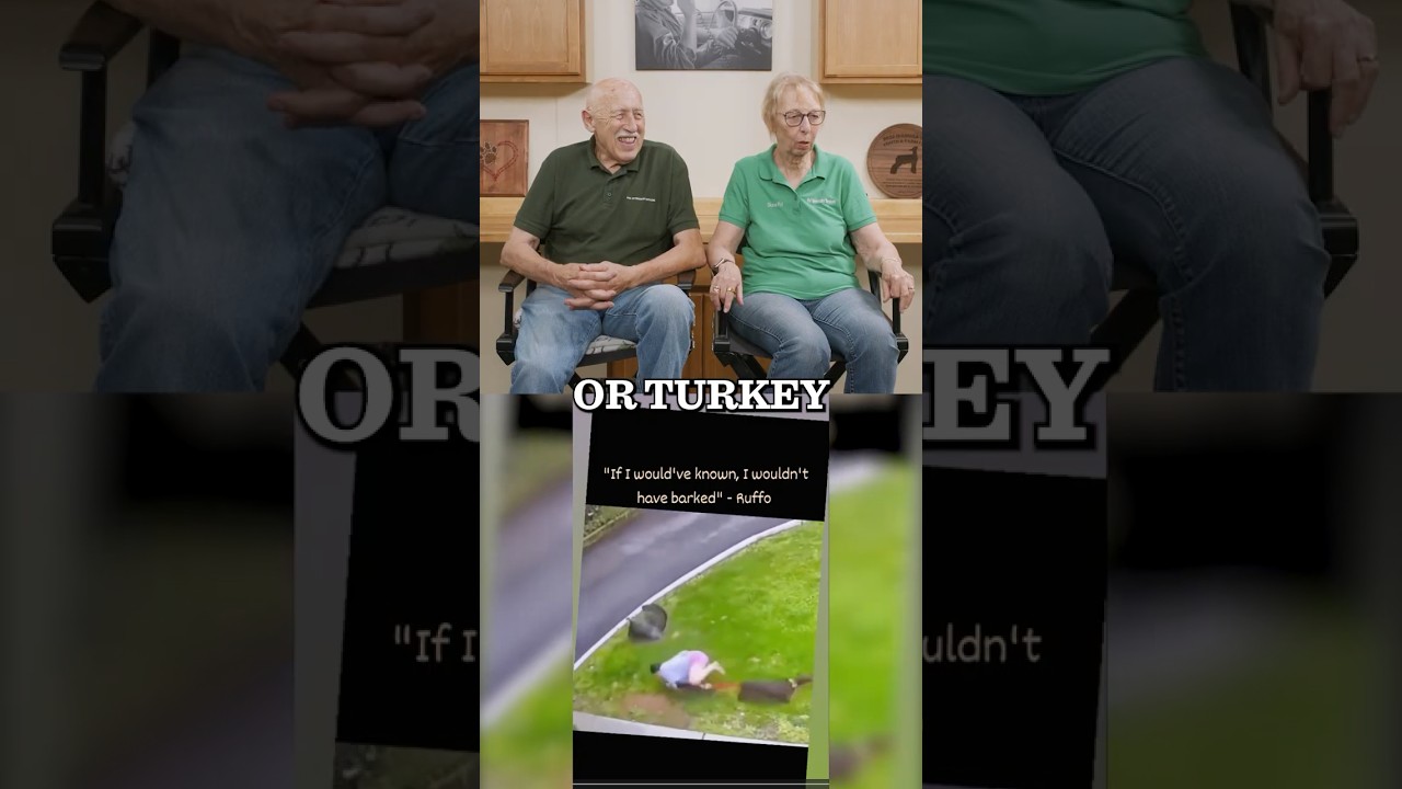 Dr. Pol Reacts &ndash; Dog vs. Turkey: The Gobble Showdown 🐶🦃😂#drpol #funnydogs