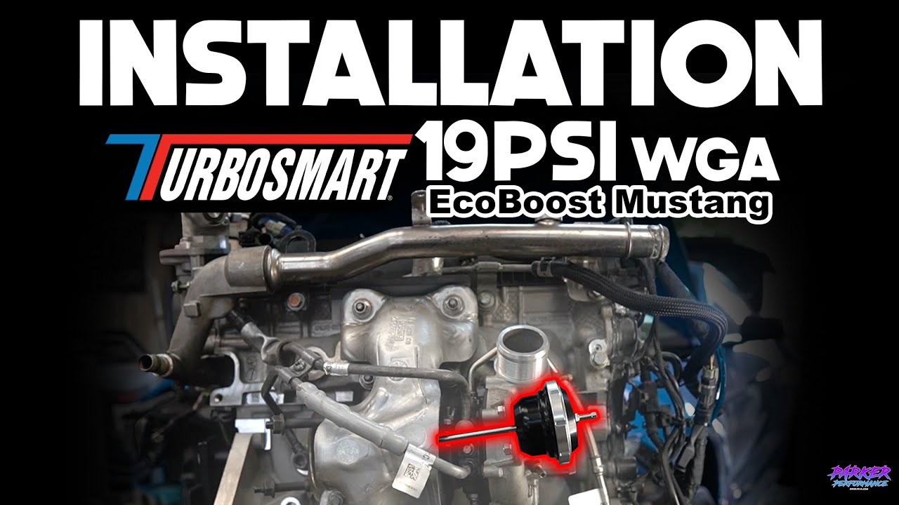 How to install a 19PSI Turbosmart Wastegate | 2015-2023  EcoBoost Mustang