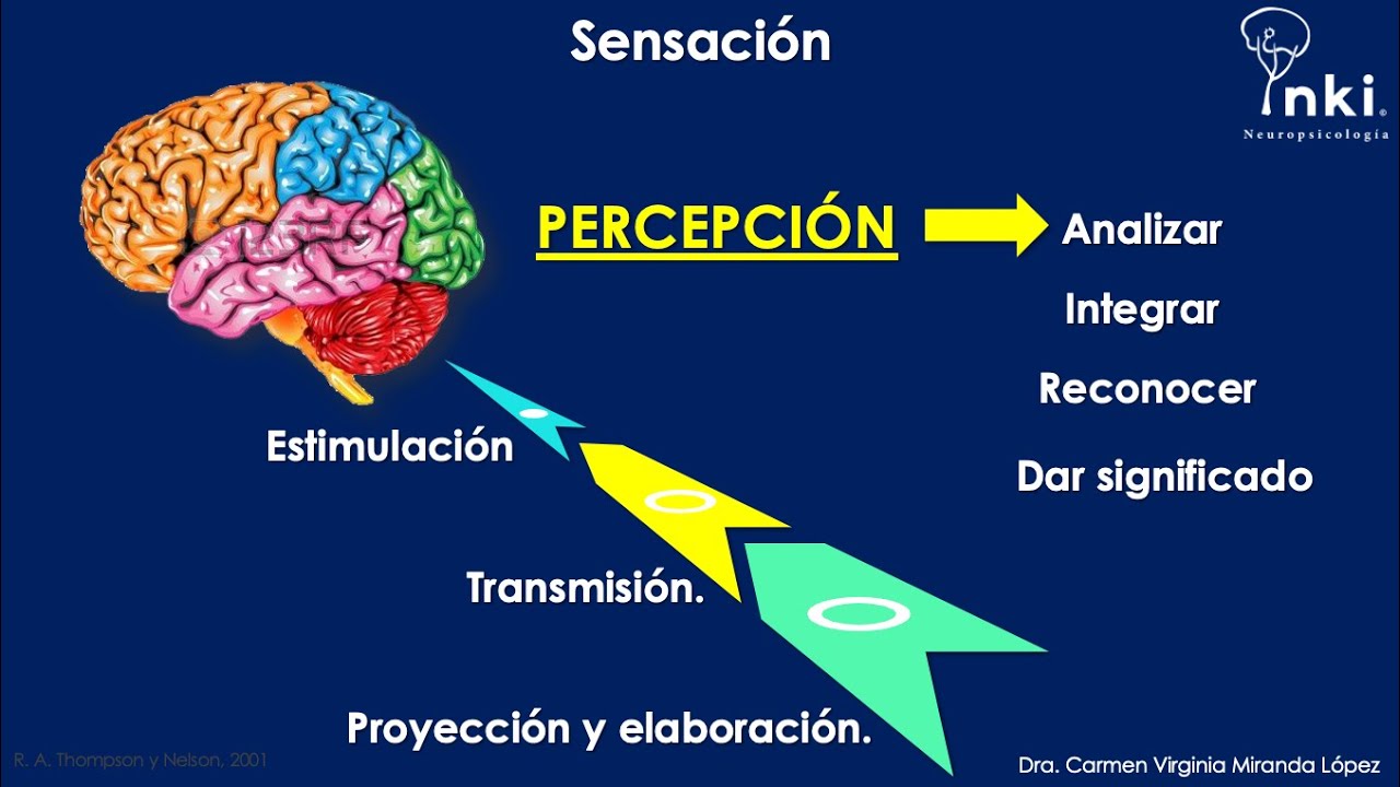 SENSOPERCEPCIÓN