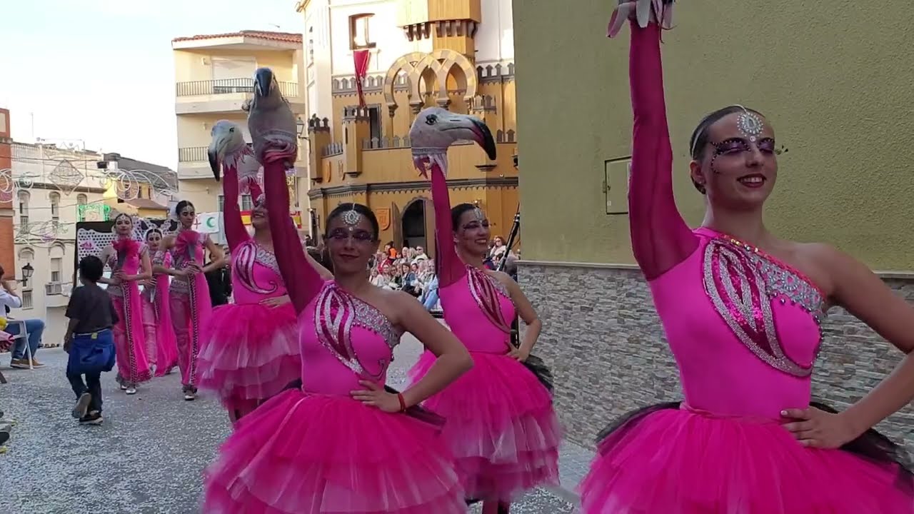 FLAMENCOS MASTERS BALLET