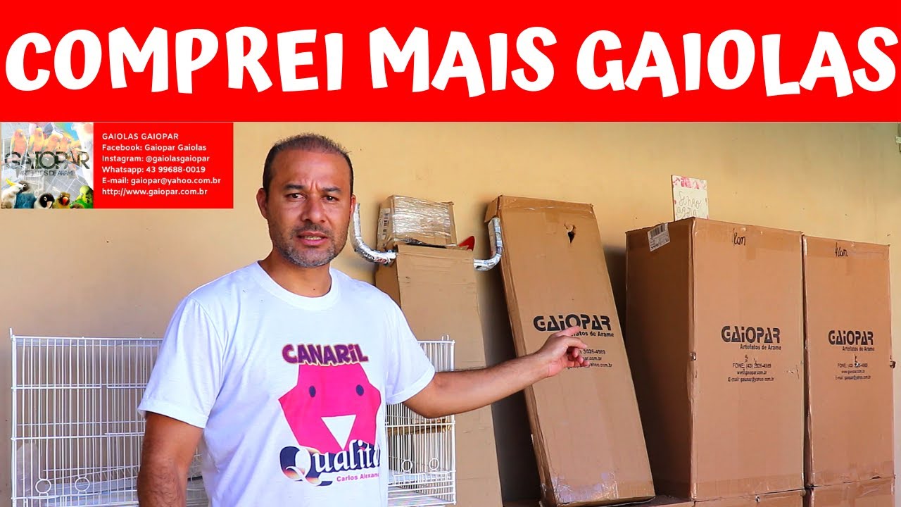 VOU USAR ESSAS GAIOLAS PARA REPRODUZIR OS CANÁRIOS