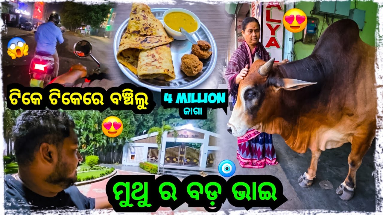 ଟିକେ ଟିକେରେ ବଞ୍ଚିଲୁ ACCIDENT ରୁ 😰 || Odia bhaina vlogs || Odia bhaina || Odia vlogs