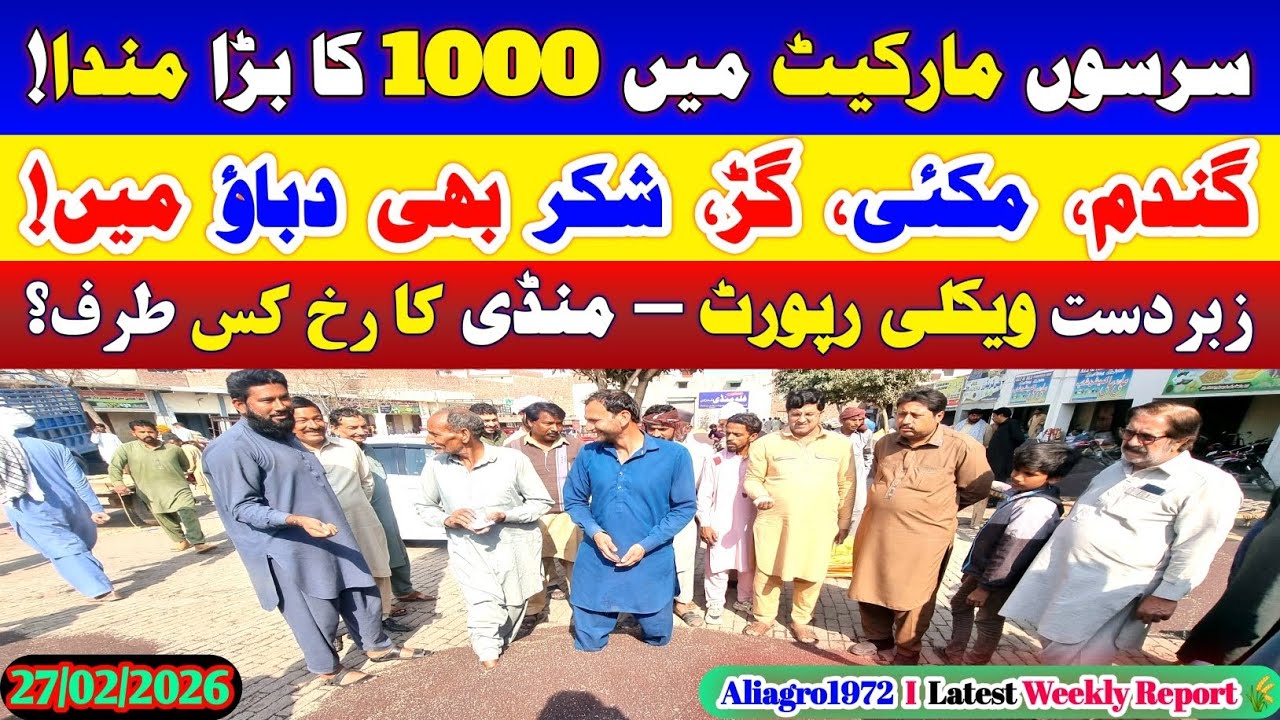 Sarson Market 1000 Down | Wheat Makki Gur Shakkar Pressure | Weekly Mandi Report 27-02-2026