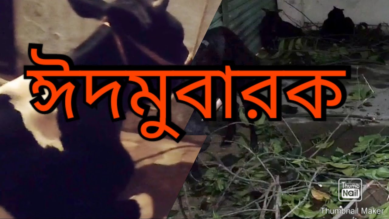 Eid mubarak /ঈদমুবারক❤️❤️