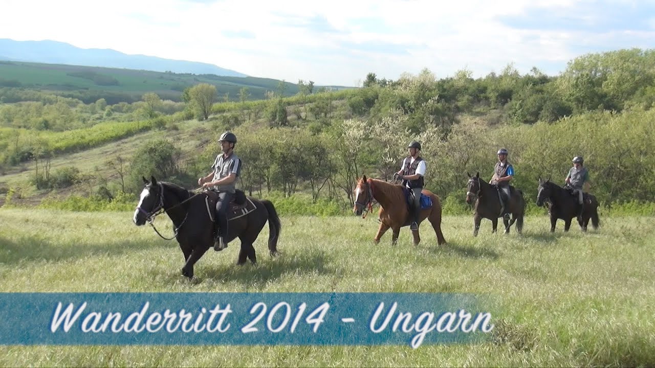 Wanderritt 2014 - Ungarn