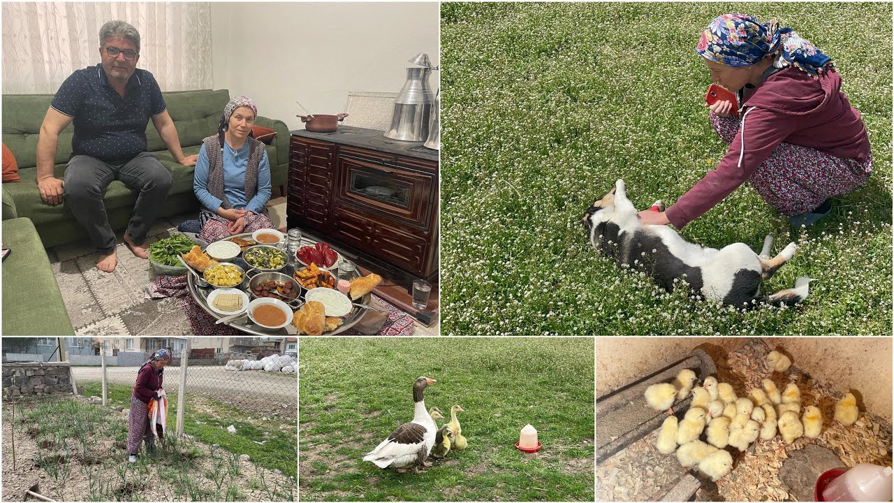 BEKLEDİĞİNİZ GÜZEL HABER GELDİ📢 BAHÇE İŞLERİNE DEVAM✅ İFTAR MENÜMÜZ😋