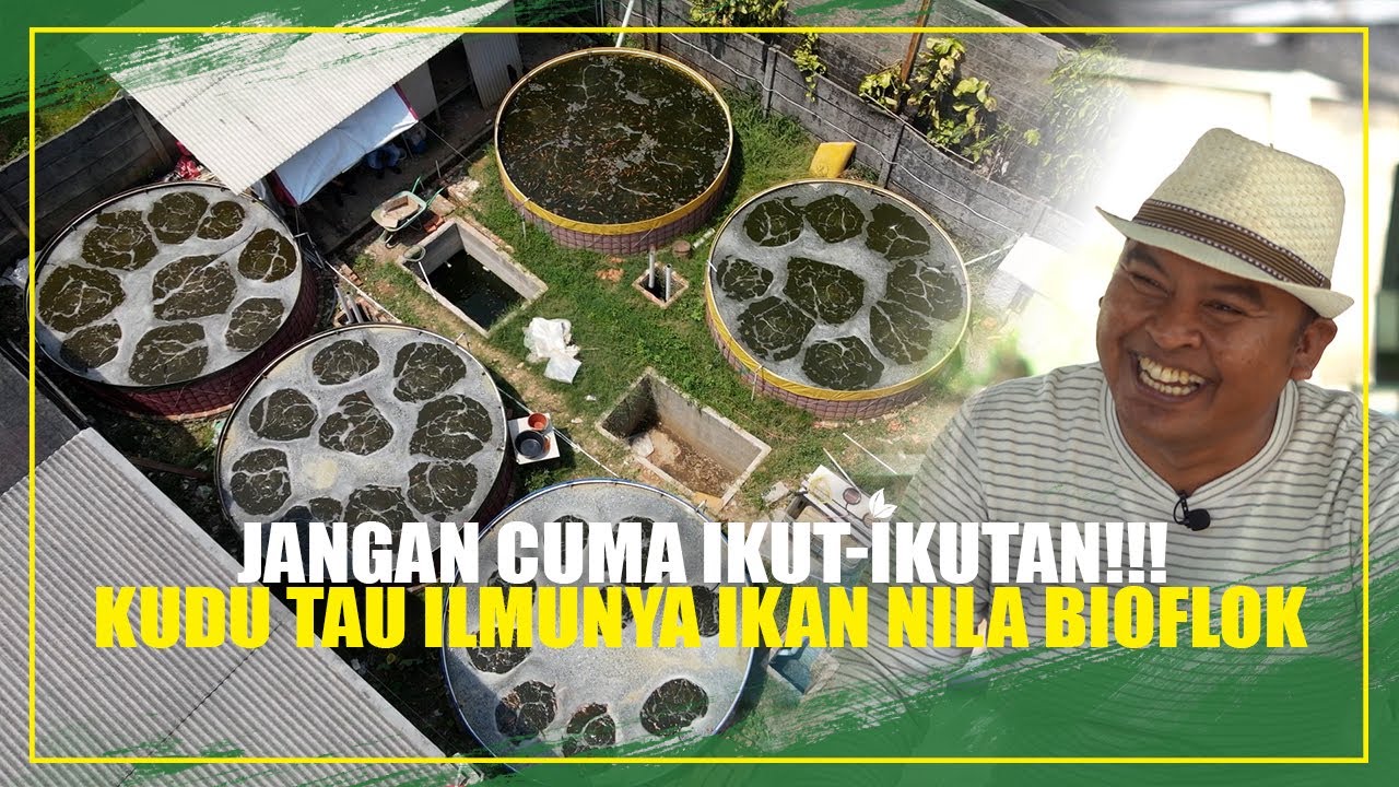 KUDU TAU ILMUNYA SEBELUM MEMULAI BUDIDAYA IKAN NILA BIOFLOK