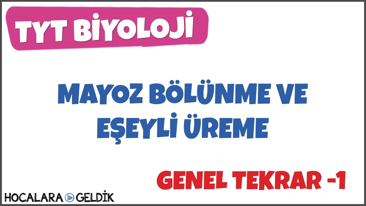 Mayoz Bölünme ve Eşeyli Üreme