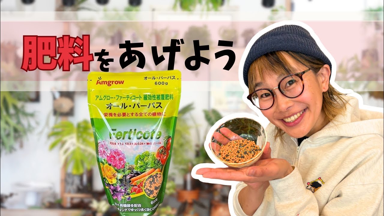 春だ🌸肥料をあげよう🌱鉢増し LIVE🙂‍↕️🫶