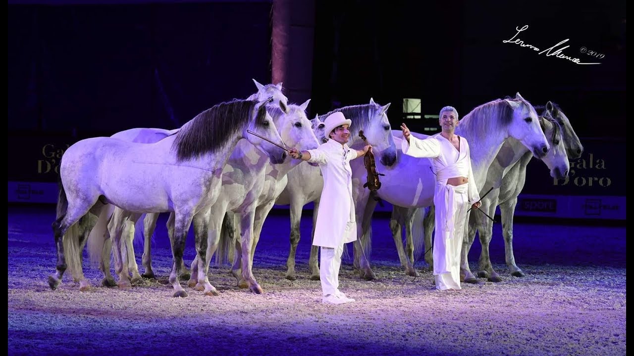 Spot Gala d'Oro - Fieracavalli Verona