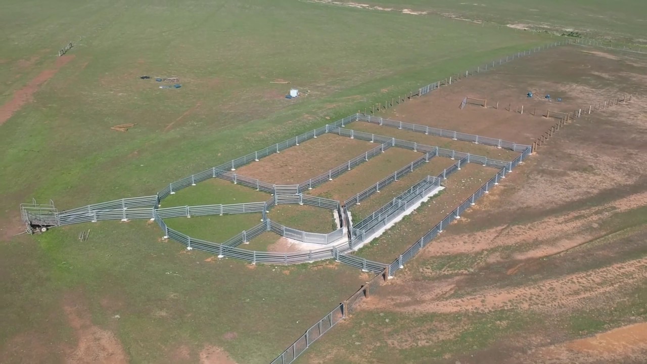 Sheep Yards- Munglinup
