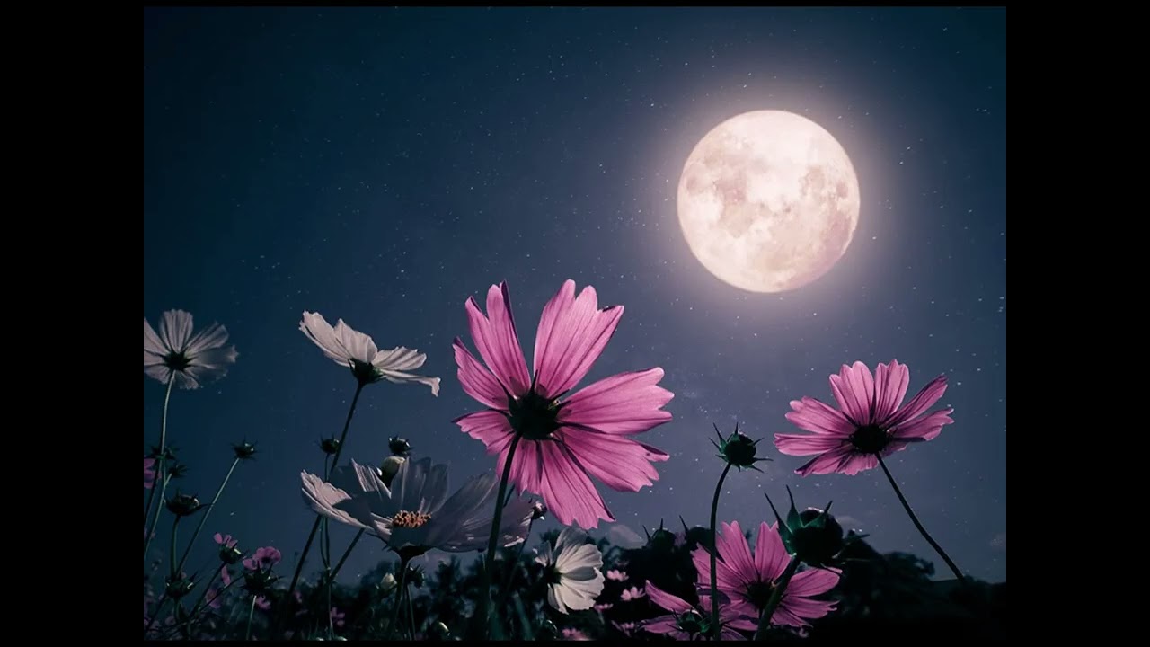 Salvatore ADAMO         A demain sur la Lune           (1969)