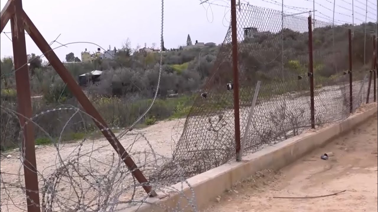 השב