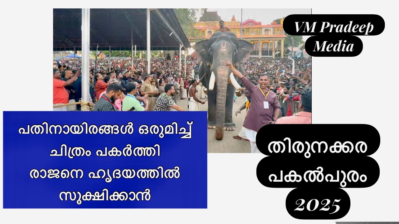 പാമ്പാടി രാജനെ ഹൃദയത്തിൽ പതിപ്പിച്ച് പതിനായിരങ്ങൾ തിരുനക്കര പകൽ പൂരം@VMPRADEEP#pampadyrajan