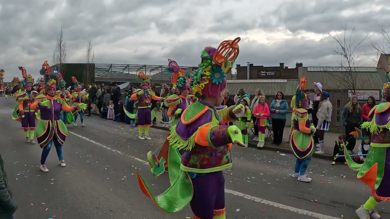 Halle Carnaval groepen 2024🎭- D'afzakkers