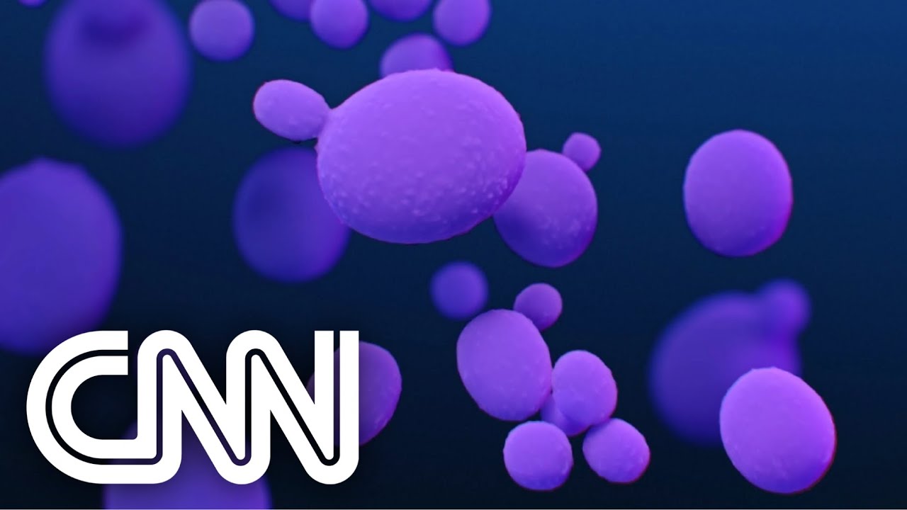 Pernambuco registra 48 casos do &ldquo;superfungo&rdquo; | CNN PRIME TIME
