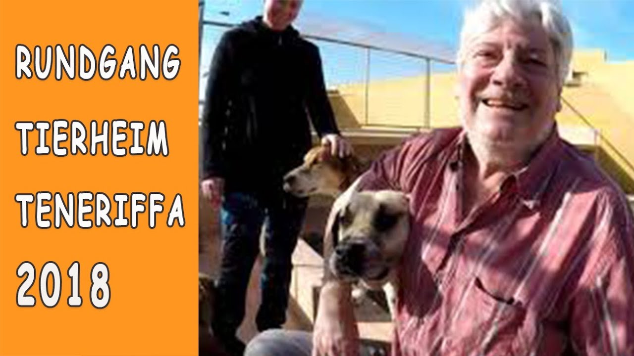 2018 Arche Noah Teneriffa - Tierheim Rundgang