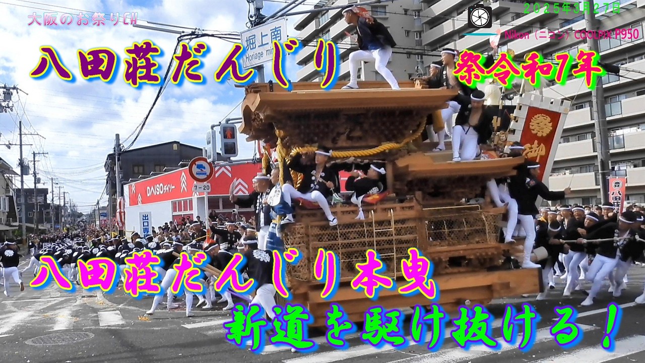 令和7年 八田荘だんじり祭 本曳 新道パレード｜圧巻のだんじり走行　2025年10月18日