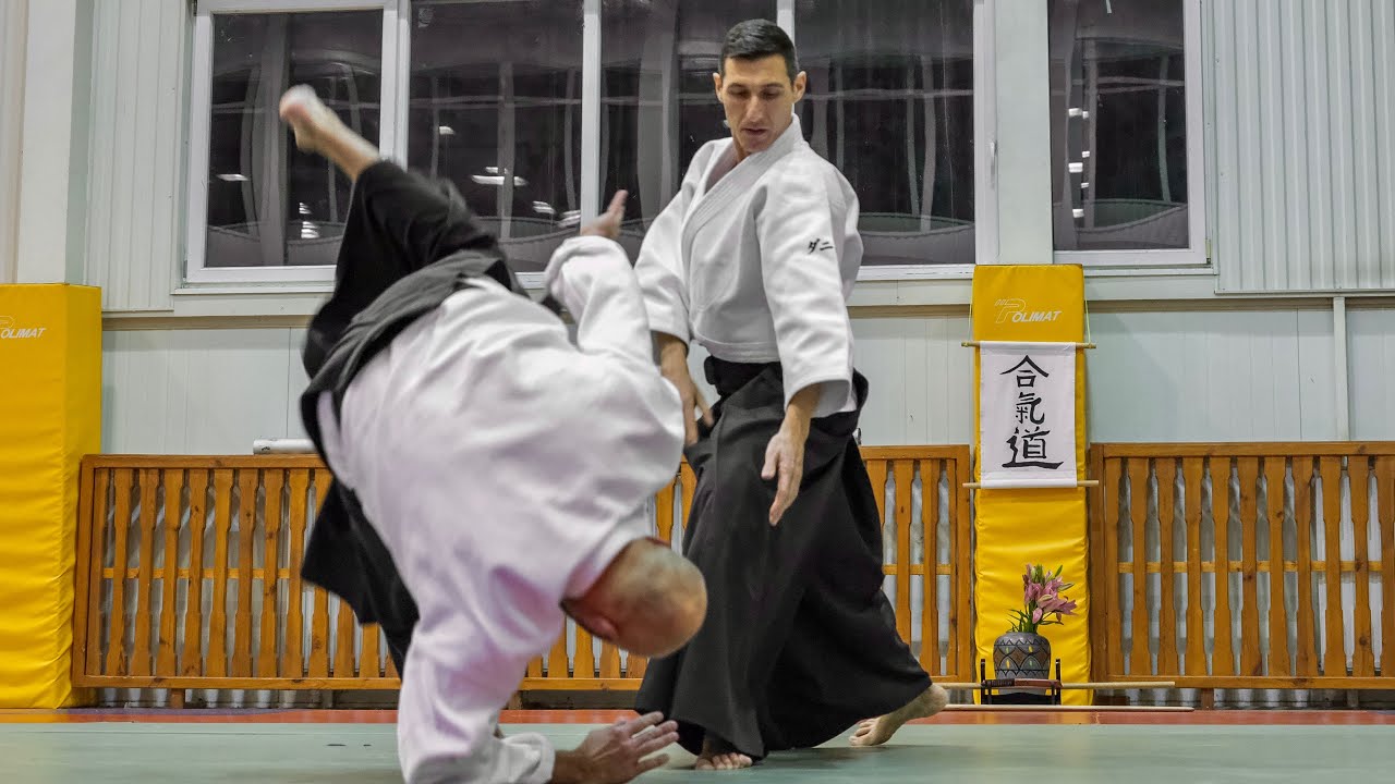 Aikido: Chudan tsuki by Daniele MONTENEGRO sensei - Ukta 2025 Part 2/2