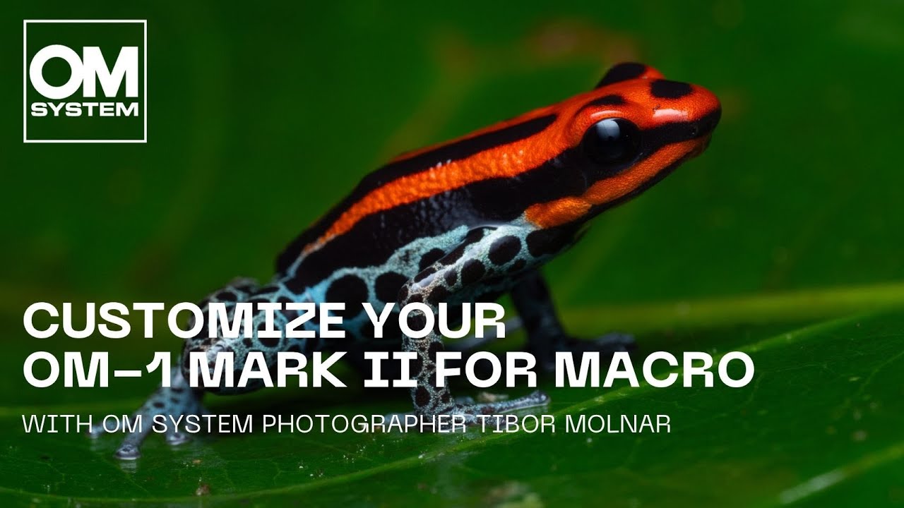 Customize your OM-1 Mark II for macro photography | with photographer Tibor Molnar