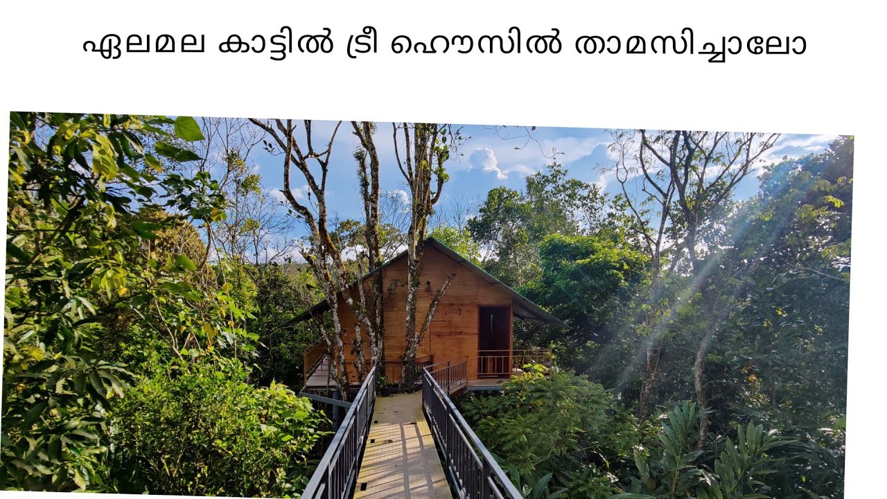 Mind Blowing Tree House in Cardamom Hills /Spice Villa Thekkady
