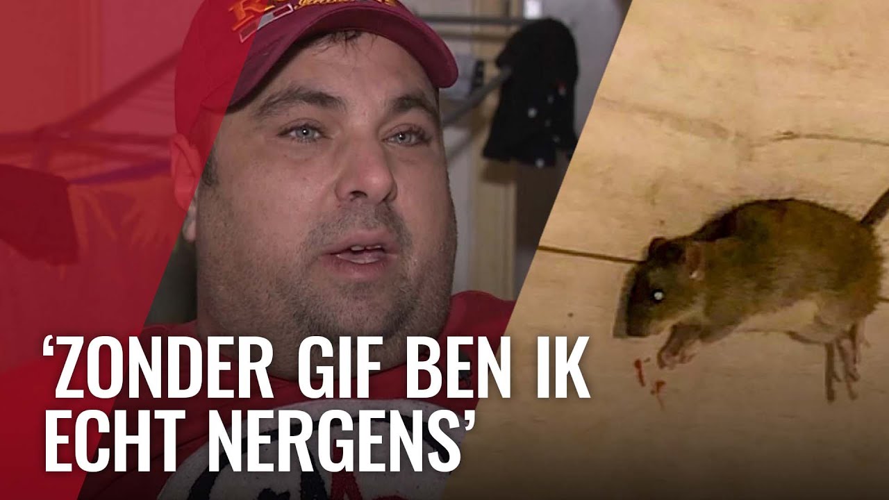 Appie is radeloos na verbod op rattengif
