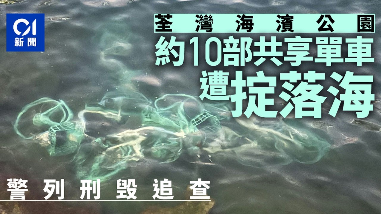 【01秒看新聞】荃灣海濱公園13部共享單車遭掟落海　警列刑毀追查｜01新聞｜共享單車｜荃灣海濱｜掟落海｜警方｜刑毀追查