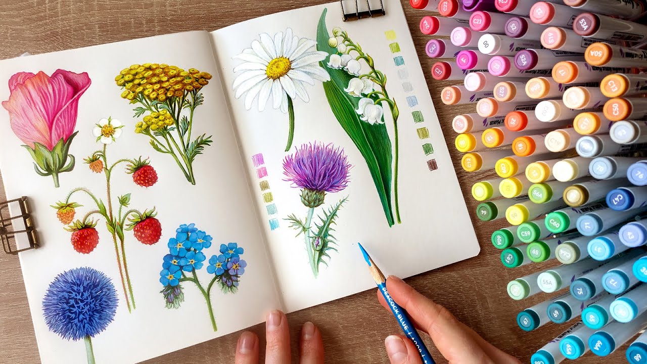 Spend time with me relaxing and drawing plants 🪻🌿/ no music, no talking