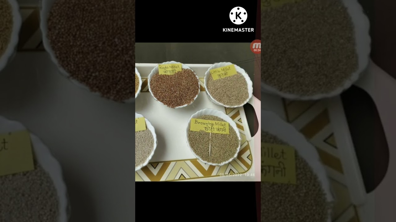 5 видов проса от доктора Кхадара Вали, полная информация.