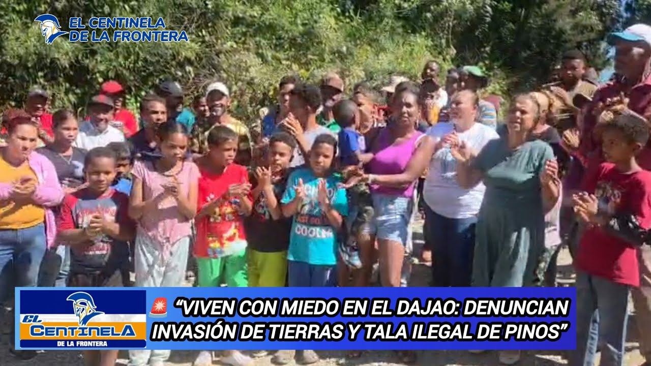 Viven con miedo en El Dajao: denuncian invasión de tierras y tala ilegal de pinos