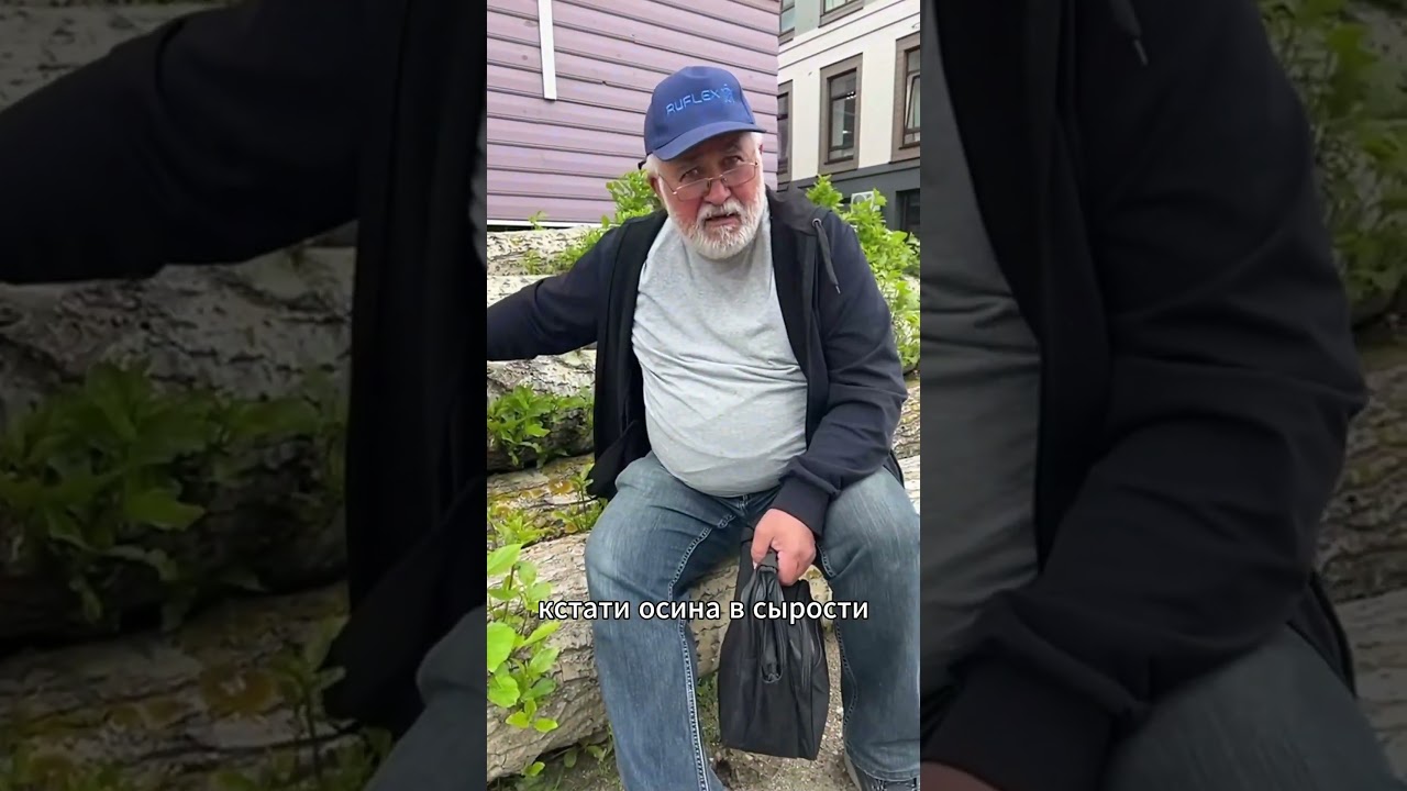 Растет срубленное дерево. Осина &mdash; дерево с характером #стройка #природа #дерево #каркасник #ремонт