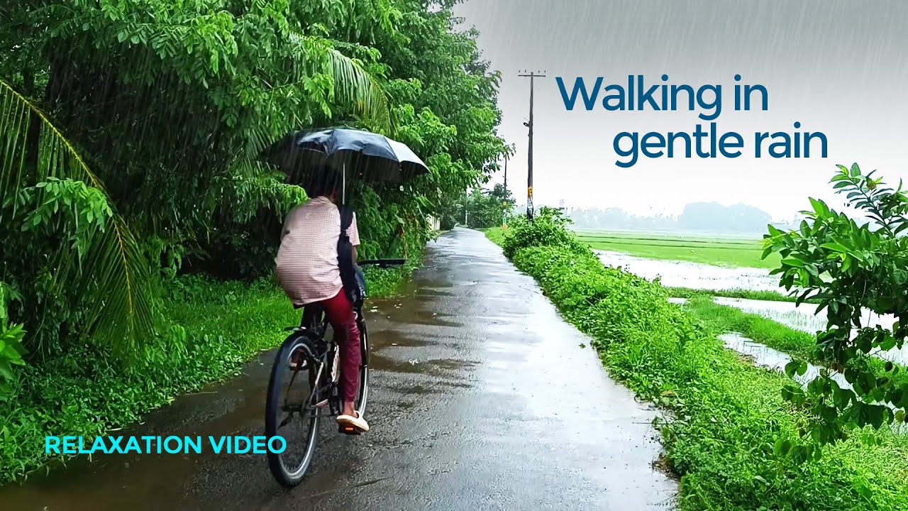 Walking in gentle rain | relaxing rain ambience |  Indian village #relaxingvideo #peaceful #rain