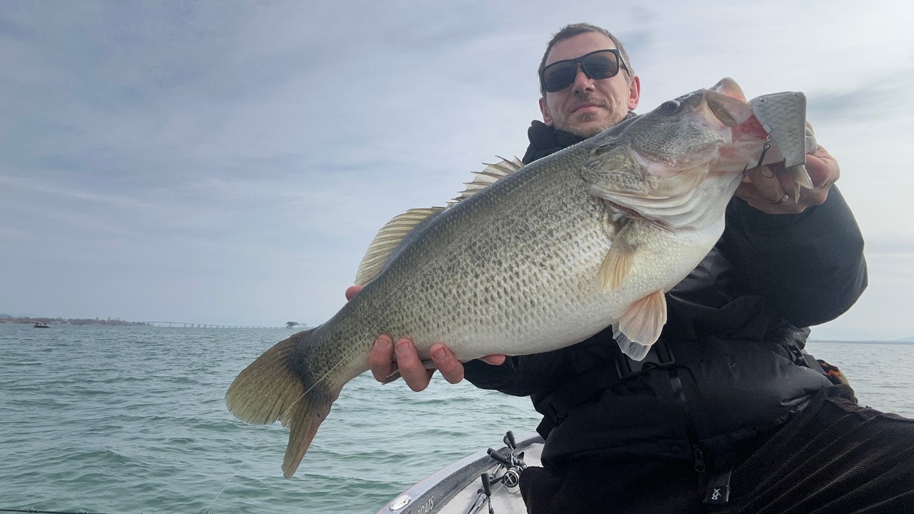 Prespawn 11lb bass Biwa Lake Japan / pesca al bass sul lago biwa / 琵琶湖バス釣り5Kgオーバー / 비와 호수 겨울철 배스 낚시