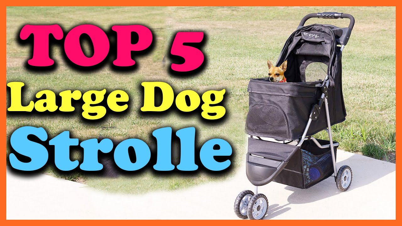 Top 5 Best Large Dog Stroller 2025