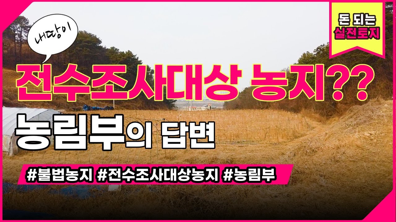 어떤 농지가 조사대상이 되는지 농림축산식품부에 직접 문의했습니다./농지법개정/세종코끼리부동산