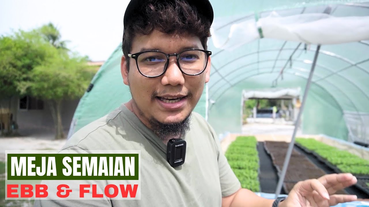 [TUTORIAL  17#] Meja semaian auto l Version 2