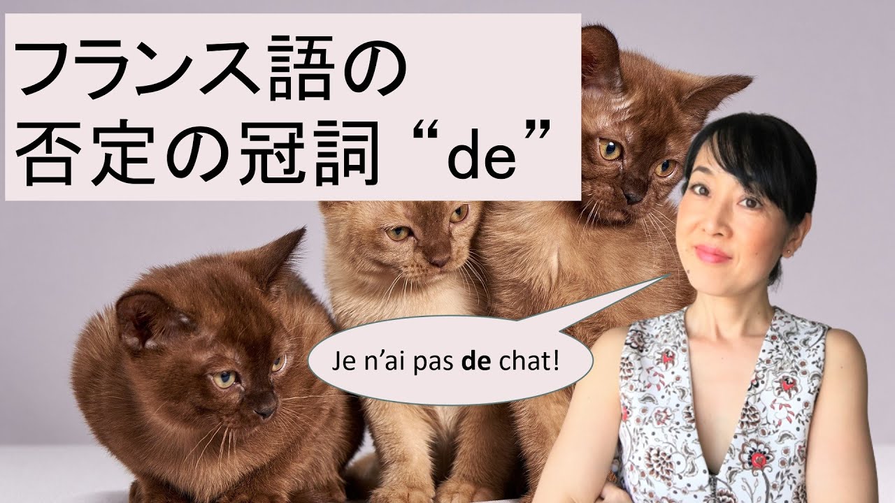 フランス語の否定の冠詞 de: Je n'ai pas de chat !