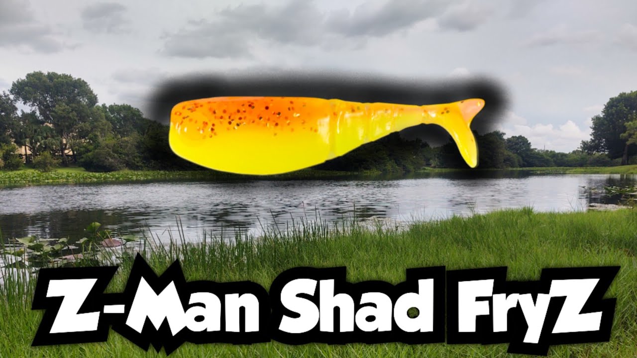 Fishing the Z-Man Shad FryZ | Micro Finesse Fishing
