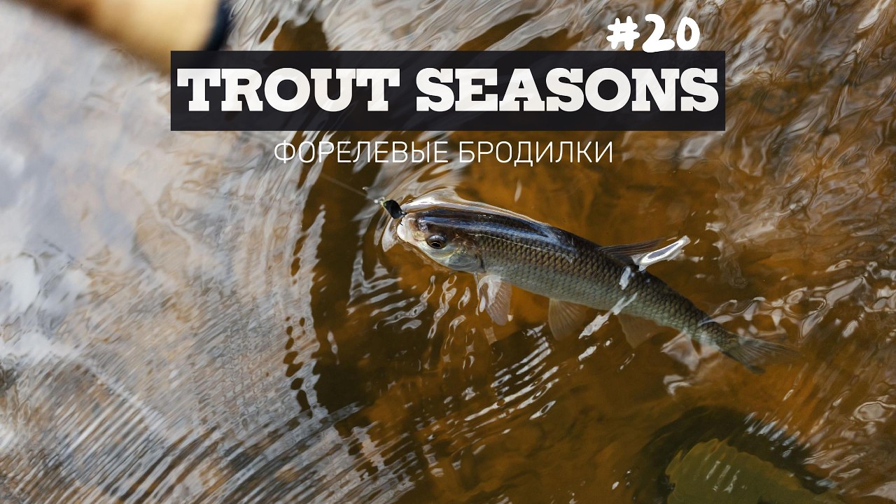 Trout Seasons #20.  Smith Saluco TSS 53. Разведка новой реки.