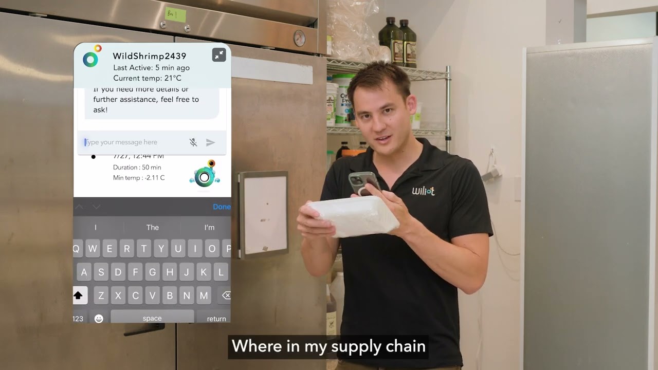 WiliBot Demo