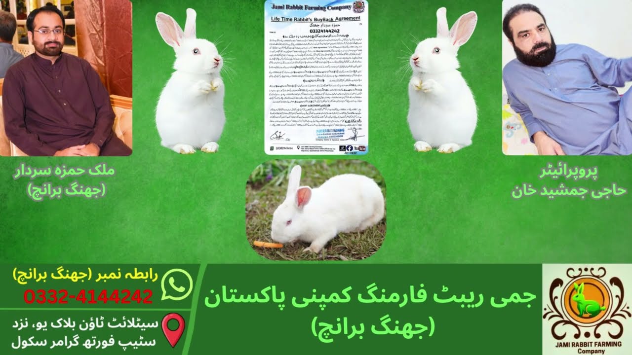 اہم معلومات حمزہ سردار جھنگ برانچ جمی ریبٹ فارمنگ کمپنی پاکستان WhatsApp 0301-2949494