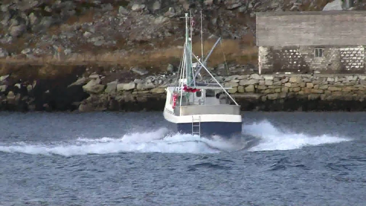 Selfa Arctic Speedsjark 