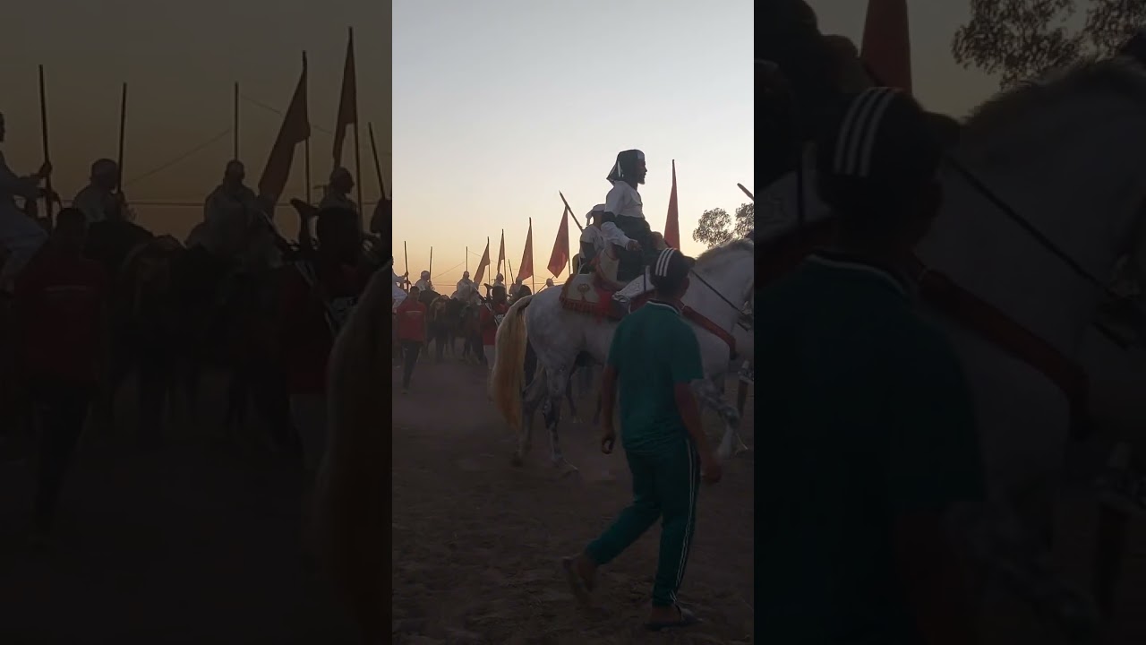 اجواء موسم سيدي بوعيشة مدينة تيفلت ، التبوريدة