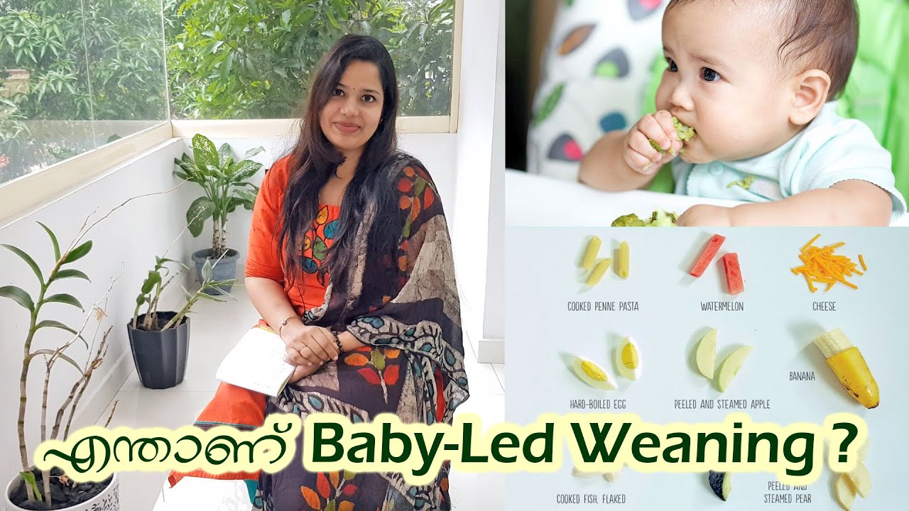 കുട്ടികൾ തനിയെ ആഹാരം കഴിക്കാൻ ശീലിപ്പിച്ചാലോ ? -What is Baby Led Weaning ?