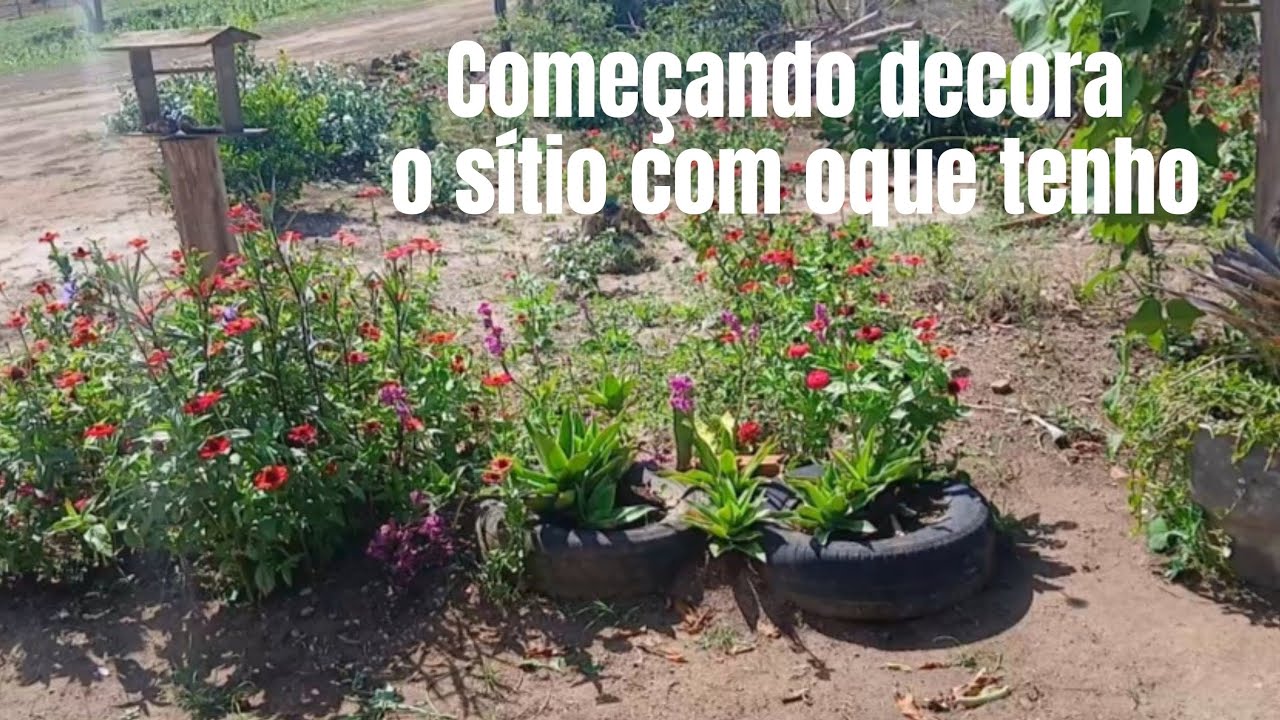 Multiplicando as plantas que ja tenho!