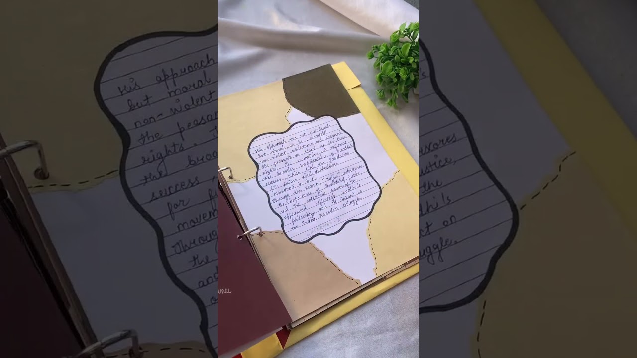 Indigo class 12 English project file😍 #indigo#artintegratedproject#projectdesigns#cbseproject 🌟