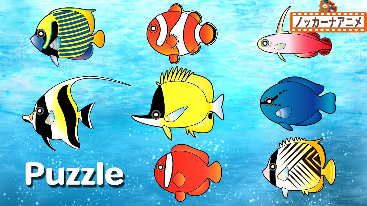 お魚 パズル★海の生き物たちの子供向けアニメ★赤ちゃんが喜ぶ遊び  Fish Puzzle kids anime