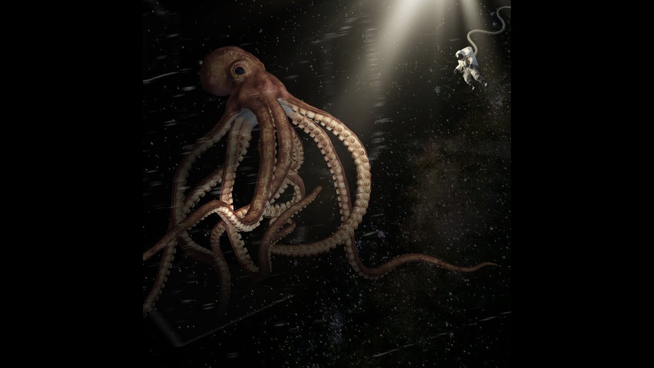 Ancient Octopus