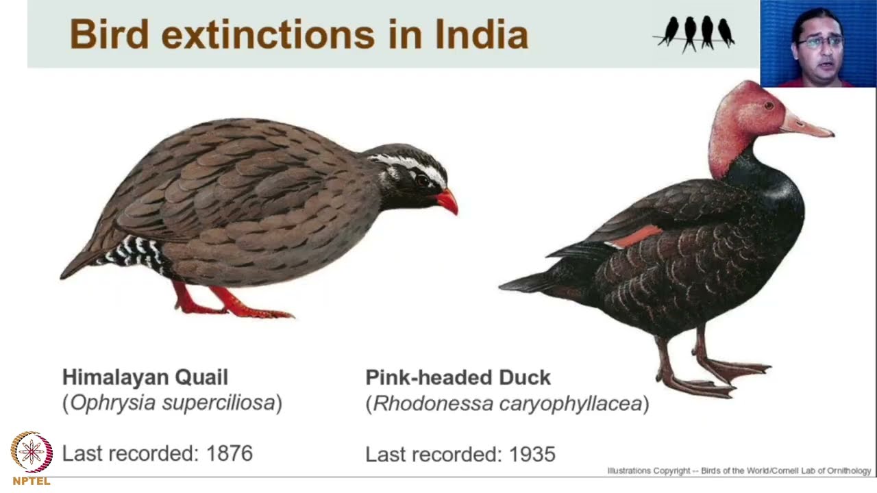 Bird Conservation - Concepts
