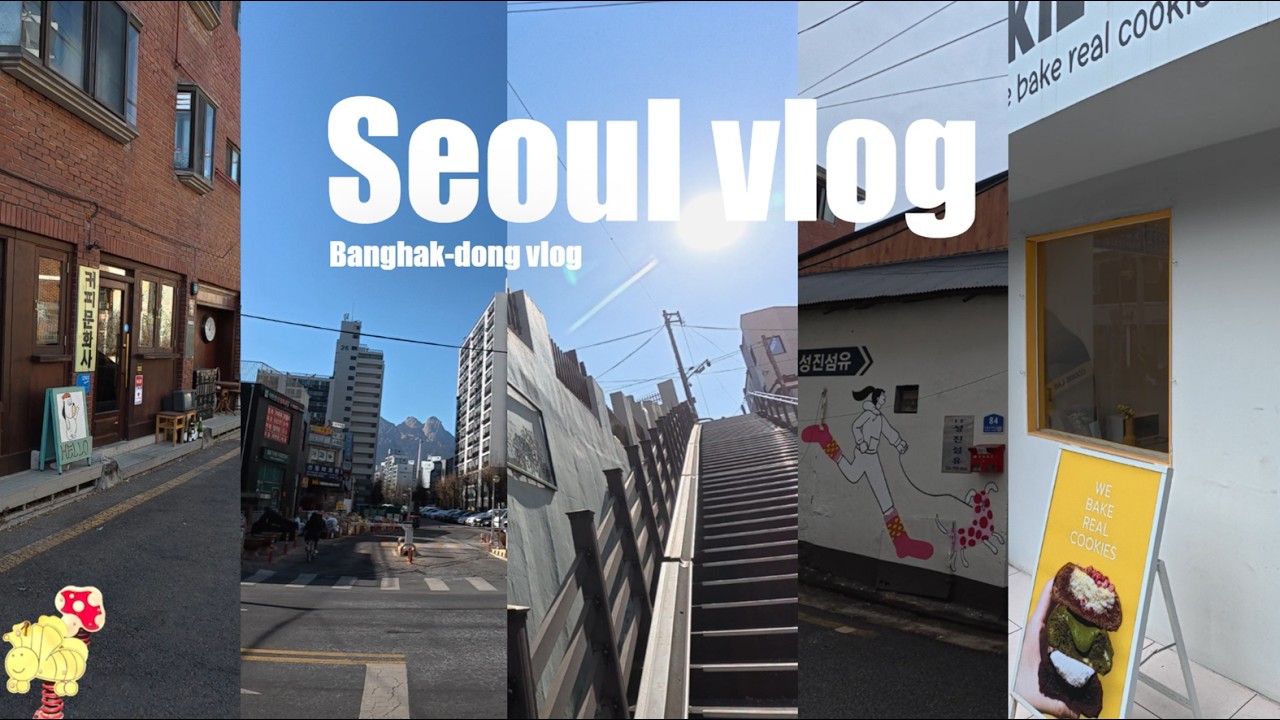 🚶‍♀️서울 로컬 vlog | 방학동 | 레드차이나(3,000원 짜장) | 도깨비시장 #SeoulTrip #LocalMarket